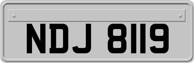 NDJ8119
