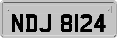 NDJ8124