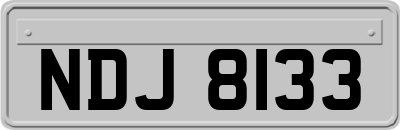 NDJ8133