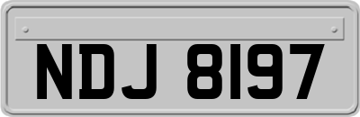 NDJ8197