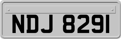 NDJ8291