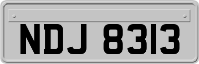 NDJ8313
