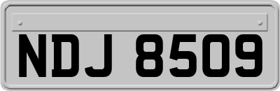 NDJ8509