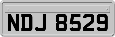 NDJ8529