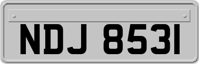 NDJ8531