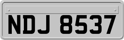 NDJ8537