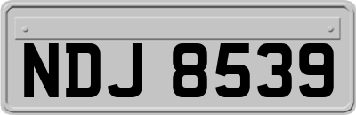 NDJ8539