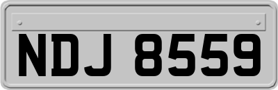 NDJ8559