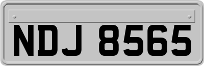 NDJ8565