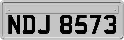 NDJ8573