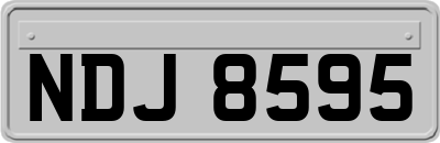 NDJ8595