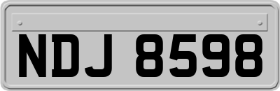 NDJ8598
