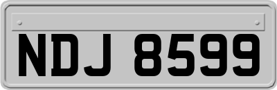 NDJ8599
