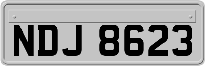 NDJ8623