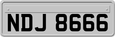 NDJ8666
