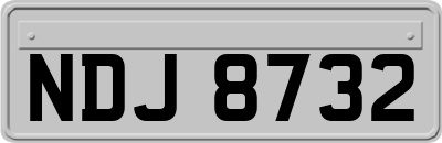 NDJ8732