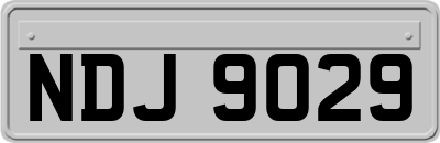 NDJ9029