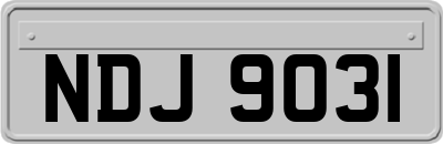 NDJ9031