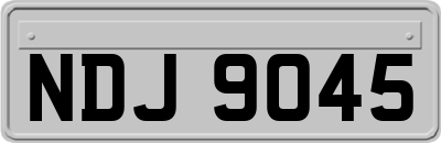NDJ9045