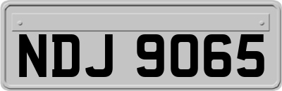 NDJ9065