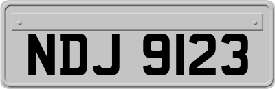 NDJ9123