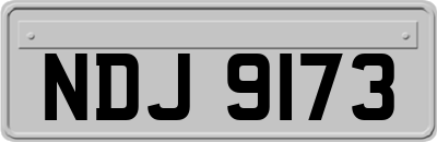 NDJ9173