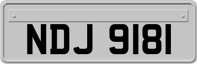 NDJ9181