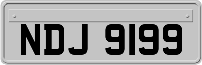NDJ9199