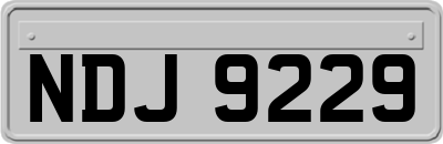 NDJ9229