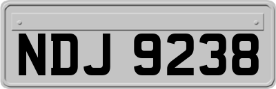 NDJ9238