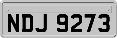 NDJ9273