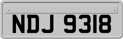 NDJ9318