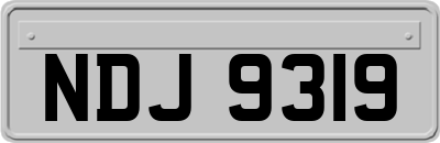 NDJ9319