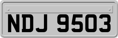 NDJ9503