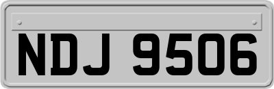 NDJ9506