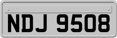 NDJ9508