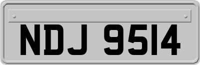 NDJ9514