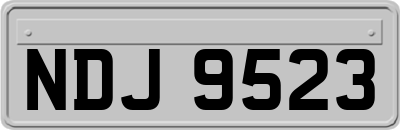 NDJ9523