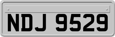 NDJ9529