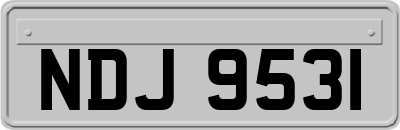 NDJ9531