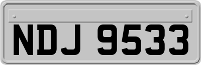 NDJ9533