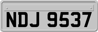 NDJ9537