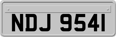 NDJ9541