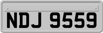 NDJ9559
