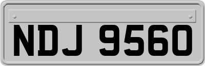 NDJ9560