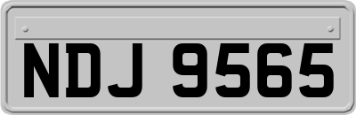 NDJ9565