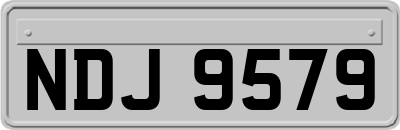 NDJ9579