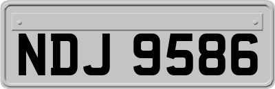 NDJ9586