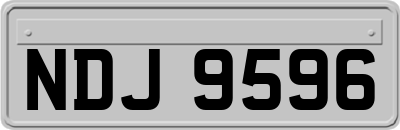 NDJ9596