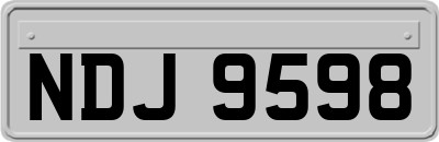 NDJ9598
